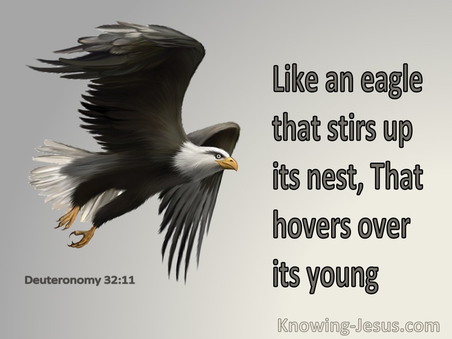 Deuteronomy 32:11 Like An Eagle The Stirs Up Its Nest (gray)